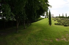 Enlarge photo 177