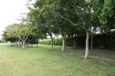 Enlarge photo 180