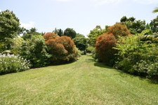 Enlarge photo 40
