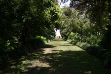 Enlarge photo 41