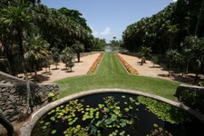 Enlarge photo 42