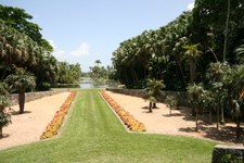 Enlarge photo 43