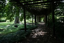 Enlarge photo 51