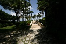 Enlarge photo 60