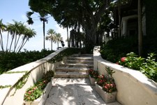 Enlarge photo 56