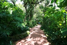 Enlarge photo 115