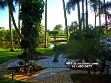 Enlarge photo 273