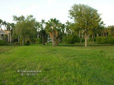 Enlarge photo 274