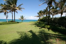 Enlarge photo 216
