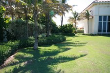 Enlarge photo 218