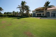 Enlarge photo 221