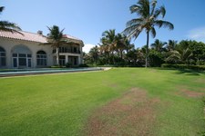 Enlarge photo 222