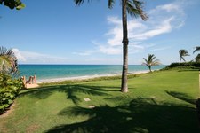 Enlarge photo 225