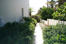 Enlarge photo 226