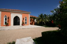Enlarge photo 238