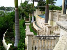 Enlarge photo 279