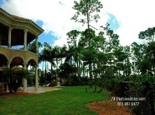 Enlarge photo 290