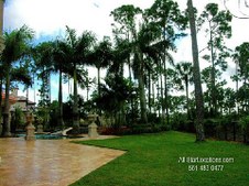 Enlarge photo 292