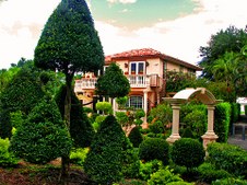 Enlarge photo 308