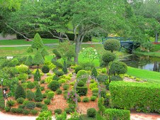 Enlarge photo 311