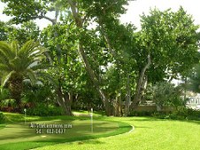 Enlarge photo 294
