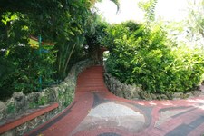 Enlarge photo 107