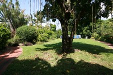 Enlarge photo 109
