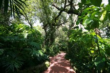 Enlarge photo 111