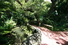 Enlarge photo 113