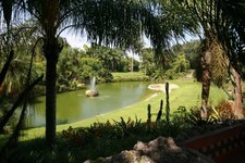Enlarge photo 102