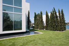 Enlarge photo 199
