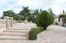 Enlarge photo 161