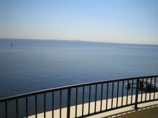 Enlarge photo 74