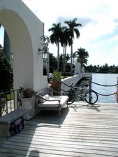 Enlarge photo 41