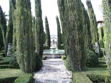 Enlarge photo 49