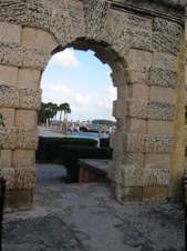 Enlarge photo 25
