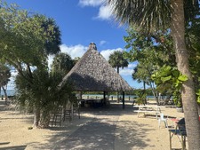 Enlarge photo 37