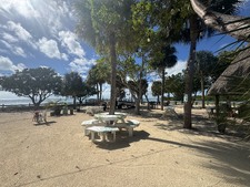 Enlarge photo 36