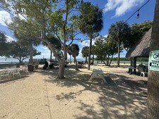 Enlarge photo 35