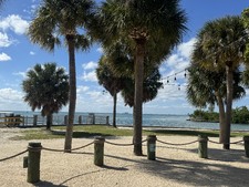 Enlarge photo 31