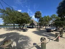 Enlarge photo 25