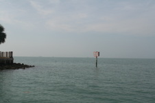 Enlarge photo 78