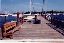 Enlarge photo 93