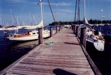 Enlarge photo 92