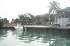 Enlarge photo 75