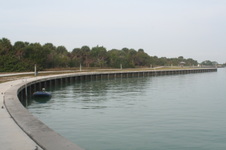 Enlarge photo 76