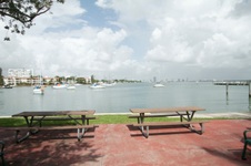 Enlarge photo 84