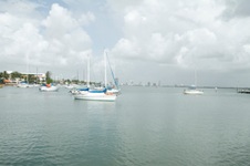 Enlarge photo 85