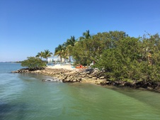 Enlarge photo 43