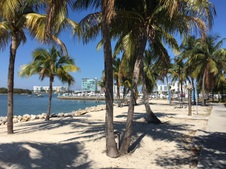 Enlarge photo 46